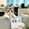 始初2026
