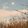 晓晗诶丶