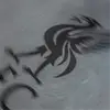 球迷983007