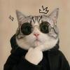 超威蓝猫丶