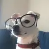 陈树人