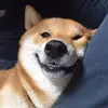 武汉阿提哈德球场小卢1