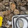 大连球迷都觉得有球看就行