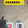济南欧洲冠军联赛最佳射手小沈