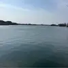 期待桑巴六星