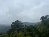 买就进