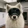 斯特林的翘臀