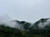 Jalisco