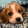 是的对的