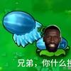 桑巴军团世界第一