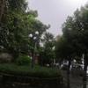 佛山中场小严4