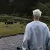 河南莱茵能源体育场小马