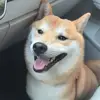姑娘是你害了我啊