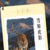 抚顺索里利斯小史