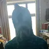 长安以南