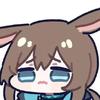 橘猫猫猫