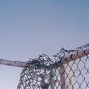 shuyllj