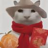 南知顾