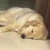 用户1016