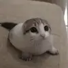 你_永远不会独行_