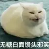 青年禁卫军