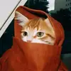 归乐