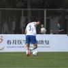 花落茉香梨
