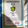 爱琴鱼儿