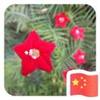 苏州武汉体育中心小郑6