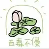 合肥萨索洛小龚9