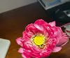 成都上海申花小汤8