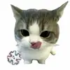 iwtn_