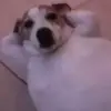 差不多得了耶