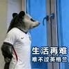 你有披萨心肠