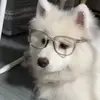 Scitycome