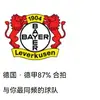 郁金香盛开的地方