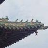 山西牛逼不解释