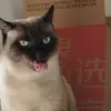 高延迟踢球