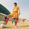 董球佬