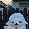 篮球的伤足球治愈