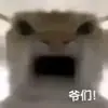 改春秋