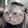 豆英俊
