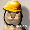 痛也无言