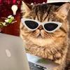 魔法少女小晴