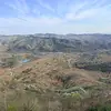 橙色拂晓