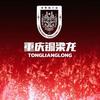 同捷标致杨阳