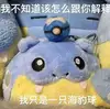 圓頭圓腦圓肚皮