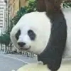 高深-