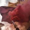 tgwgt