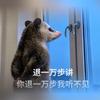 上海古迪逊公园球场小汤6